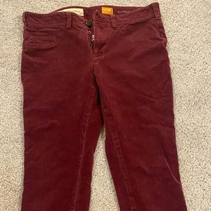 Pilcro and the Letterpress Maroon corduroy straight leg jeans size 26